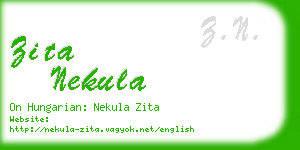 zita nekula business card